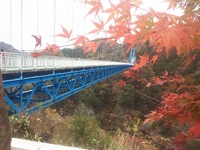 竜神大吊橋.jpg