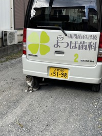 ねこちゃん.jpg