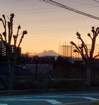 20240115_171508.jpg
