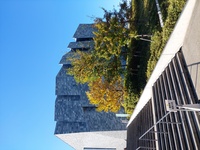20241125_125529.jpg