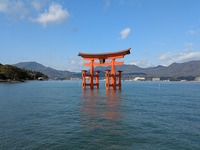 宮島.jpg