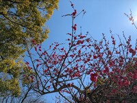 PXL_20250309_033543823.jpg