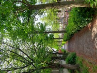 20250421_083810.jpg