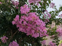 PXL_20250805_003925636.jpg