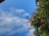 20250906_105241.jpg