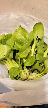 20260112_211749 (002).jpg