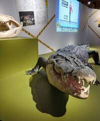 生物展.jpg
