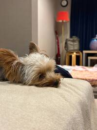 140329_0.jpg